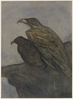 GG 009
<br/>
Twee roofvogels
<br/>
<em>Hoytema, Theo van (1863 -1917)</em>